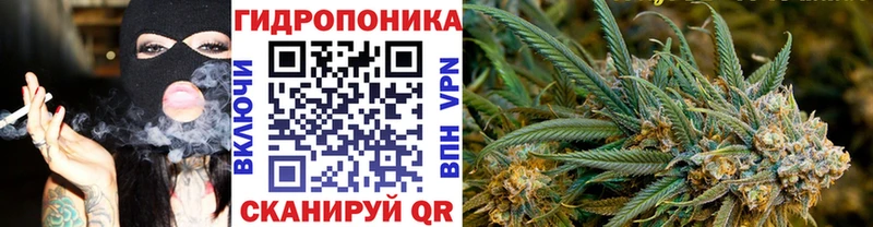 Где купить наркоту Стародуб COCAIN  OMG как зайти  Гашиш  СК 