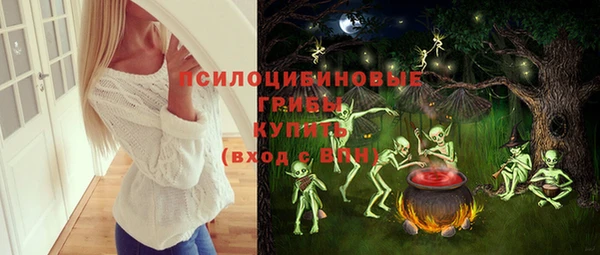МДПВ Зеленодольск