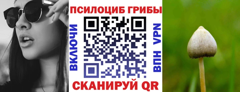 Псилоцибиновые грибы Cubensis  Стародуб 